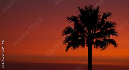 Silhouette of a palm tree against a vibrant, reddish-orange sunset over a calm ocean