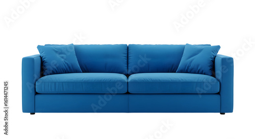 Modern Blue Sofa with Cushions in a Fresh Living Room Setting