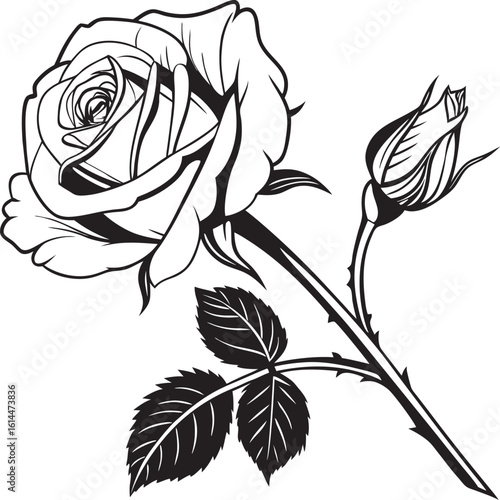 Timeless Black and White Rose in Full Bloom, Elegant Monochrome Floral Blossom with Subtle Tones, Capturing Poetic Beauty, Delicate Petals and Striking Contrasts, Classic Botanical Art.