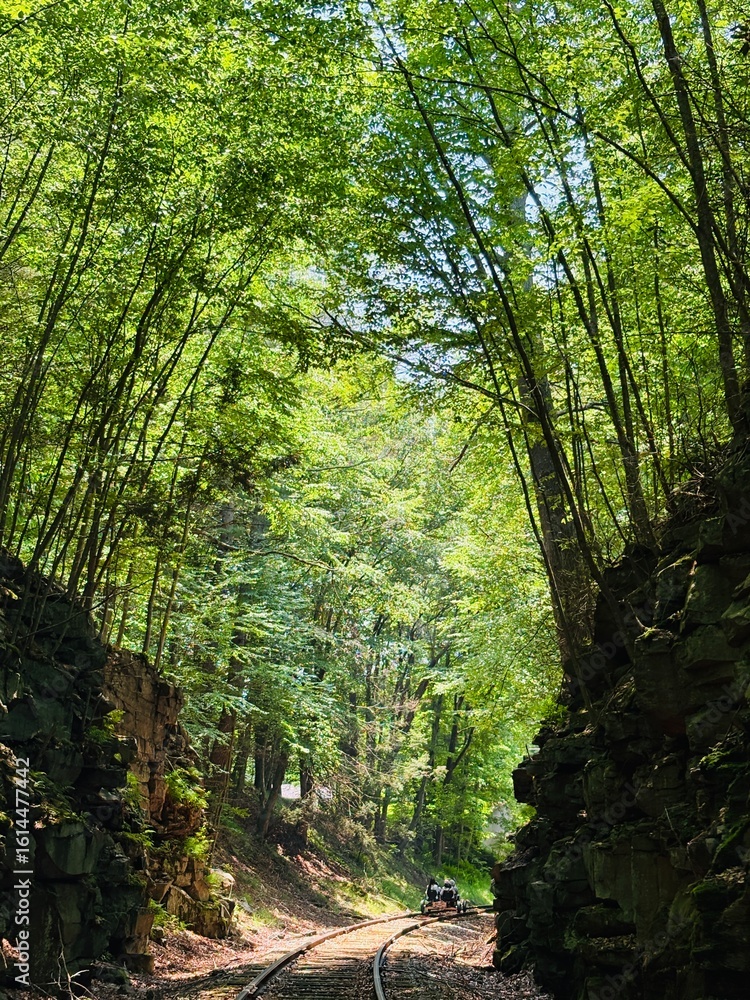 Obraz premium Railbike through the forest