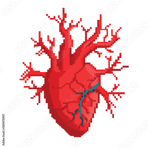 Pixelated human heart illustration with branching veins and arteries