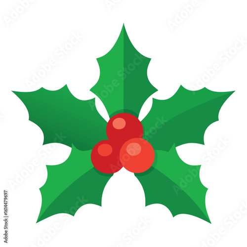 Realistic christmas holly and berry leaves vector illustration