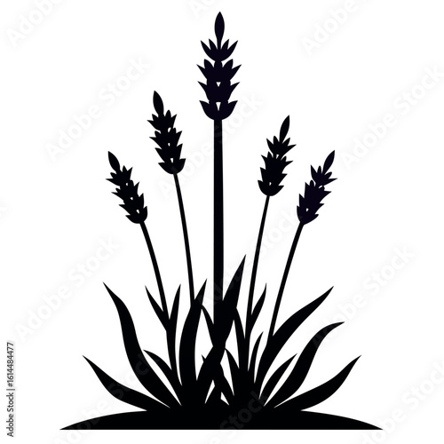 vector-silhouette-of-a-lavender-bush-with-spiky-th.eps