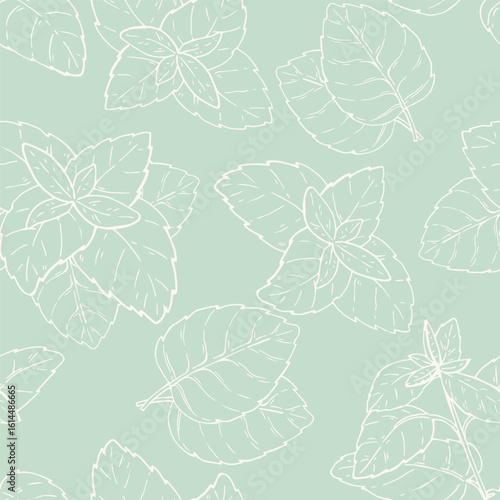 Mint seamless pattern. Gentle green color Hand drawn ink sketch background with plant from package, design, print. Ecology botanical wallpaper.