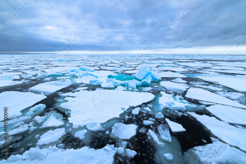 Floating ice on the ocean in the arctic of Svalbard, Norway