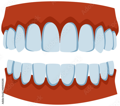Teeth Dentures Icon