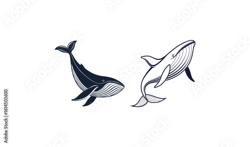 Two whales swimming upwards in a stylized illustration