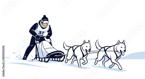 Dog sledding illustration. Musher and sled dogs running on snowy terrain during a race. Vector illustration.