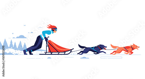 Dog sledding illustration. Dynamic winter scene with a musher controlling a sled pulled by two dogs in a snowy landscape. Vector illustration.