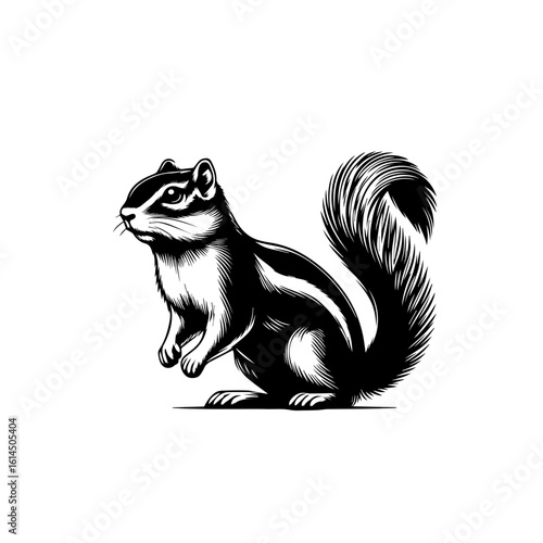 Black and White Chipmunk Illustration.