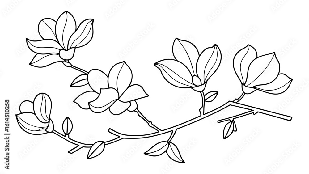 Fototapeta premium Magnolia flower, magnolia tree branch line art