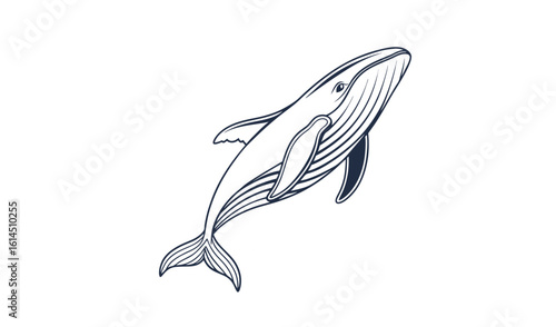 Elegant hand drawn illustration of a humpback whale breaching in the ocean