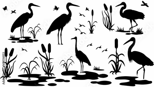 Silhouette illustration of herons and small birds in a wetland environment with reeds and cattails