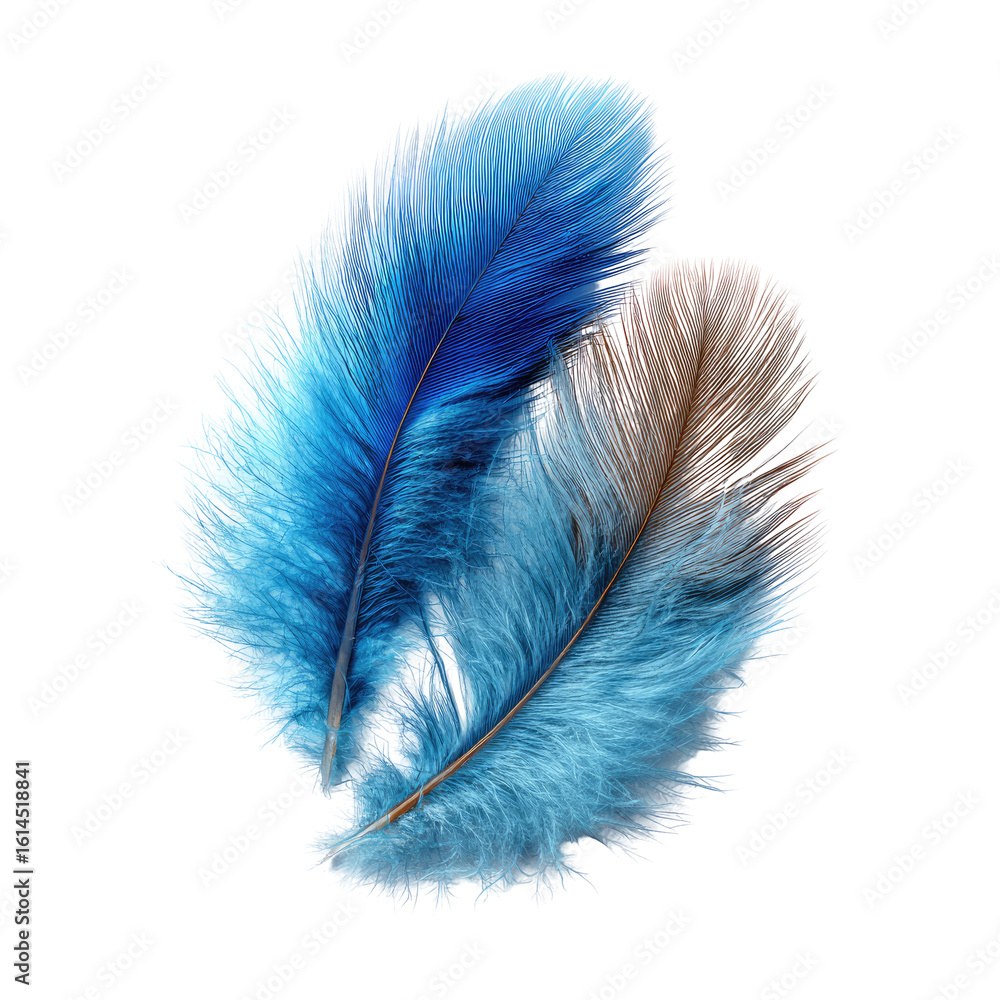 Obraz premium Vibrant blue and brown feathers