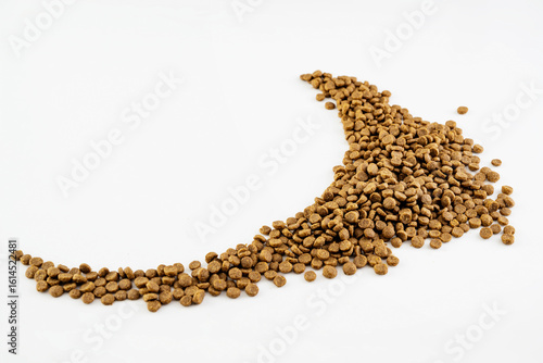 Dog and cat dry food splattered isolated over a white background
