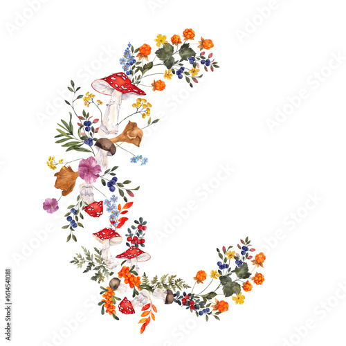 Photos Hand draw watercolor wreath with north berry and mushroom, isolated on white background