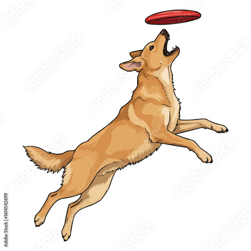 Dog leaping for a frisbee in mid-air