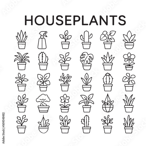 Houseeplants line  icon set