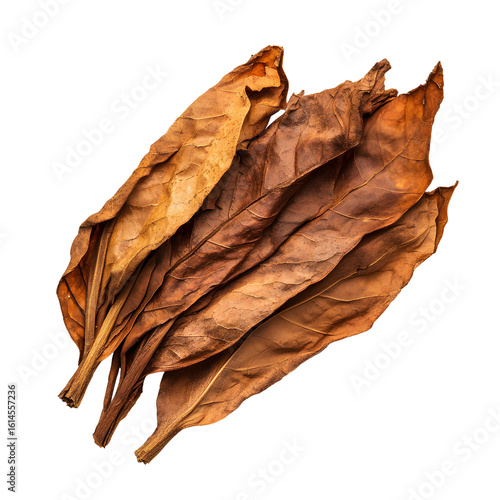A close up view of dried tobacco leaves with rich brown and golden hues isolated on transparent background