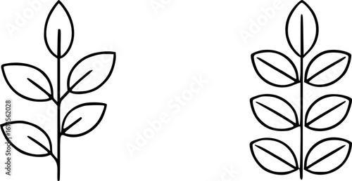 Two simple line drawings of leafy plant stems with symmetrical leaf arrangements.