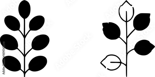 Two stylized plant branches, one solid black, the other outlined.