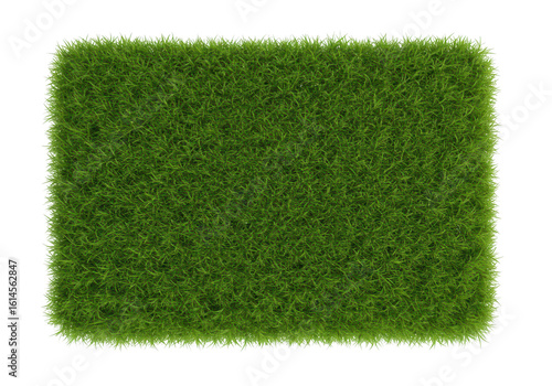 A rectangular patch of lush green grass, isolated on a transparent background