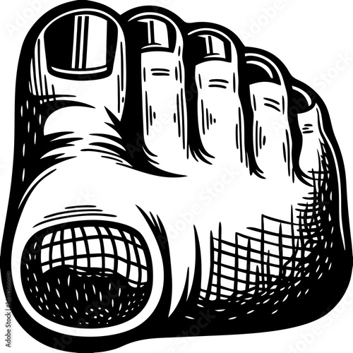 Vector art of close up of a human foot with toes displayed in a black and white vector illustration