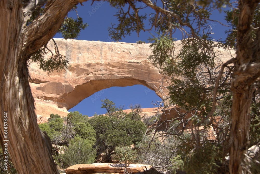 Obraz premium Wind-blown erosion!