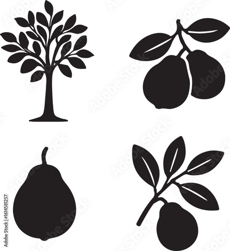A vector illustration of a silhouette of a pear tree, pears on a branch, and a single pear isolated on white background