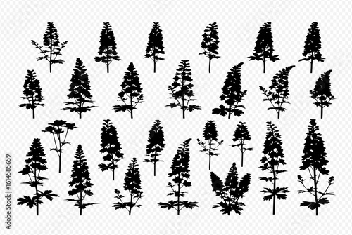A collection of twenty-four black silhouette illustrations of various lupine flower plants, each with unique shapes and sizes, arranged on a transparent background.