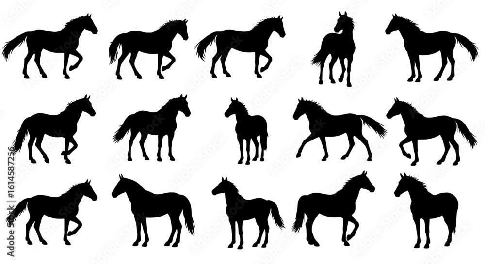 Fototapeta premium Horse Silhouette Collection: A collection of black horse silhouettes showcasing various poses, perfect for adding a touch of elegance and sophistication to any design.