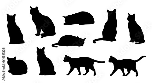 Silhouettes of Feline Companions: A striking collection of cat silhouettes showcases diverse poses and postures, illustrating the elegant form and graceful movements of these beloved animals. 