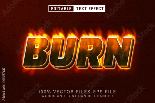 Burn Editable Text Effect