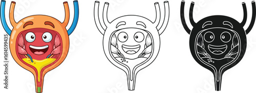 Bladder anatomy illustration with cartoon character for medical education and healthcare design needs