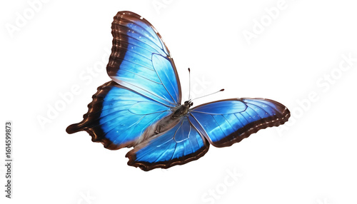A butterfly (blue morpho) flying with wings mid-upstroke, shimmering in vivid electric blue. Motion blur added subtly on wing tips, body crisp and angled, transparent PNG isolation.
