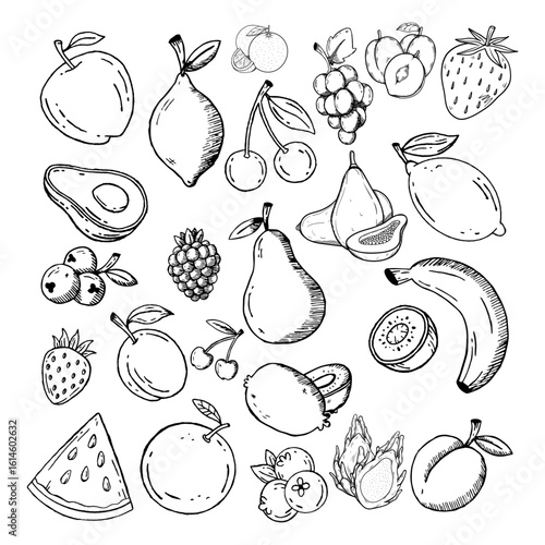 Hand Draw Fruits Collection. 