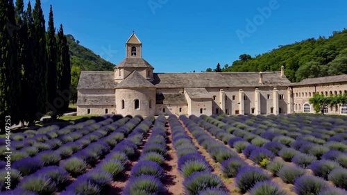 Senanque abbey with blooming lavender field in provence