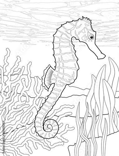 Floating Seahorse Coloring Page
