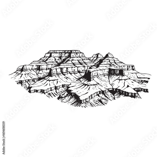 Vector illustration of the grand canyon national park landscape artistic black and white artwork