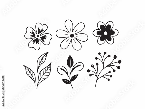 Set of assorted flower and leaves 1