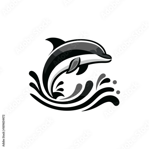 Happy dolphin jumping out of the water