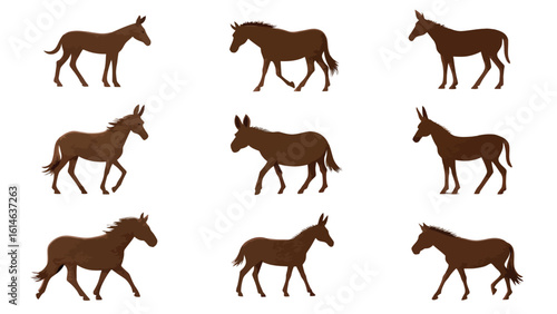Silhouette set of donkeys and horses in walking poses isolated on white background
