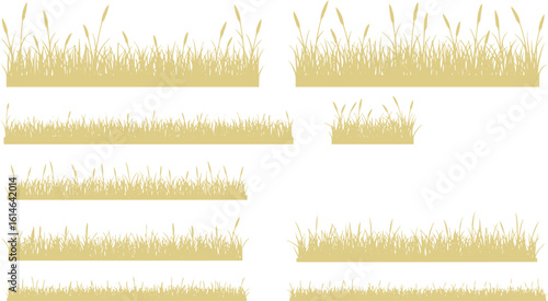 Silhouette grass with spikelet collection. Set of hand drawn beach grass line cad. Illustration for elevation architectural element, side view, grass section. Turf coating banners for edging