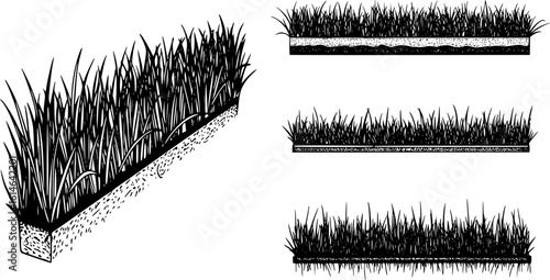 Silhouette grass with spikelet collection. Set of hand drawn beach grass line cad. Illustration for elevation architectural element, side view, grass section. Turf coating banners for edging