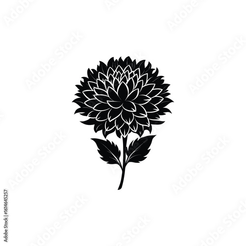 Wallpaper Mural  Elegant Black Chrysanthemum Flower Illustration - Vector Design Torontodigital.ca