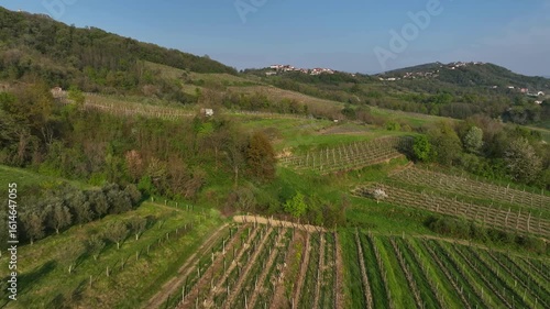 Wallpaper Mural Aerial: Vipava Valley during the day with green pastures and vineyards in Vipava, Slovenia, push in drone shot Torontodigital.ca