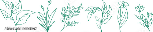 Flowers Line Art bundle set. Flowers drawing mono line. Continuous line icons on white background.