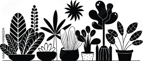 Collection of houseplants in pots silhouette