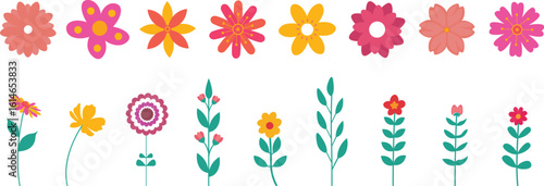 Set of cute flowers with branches and leaf's naturals. Flower collection vector bundle set.