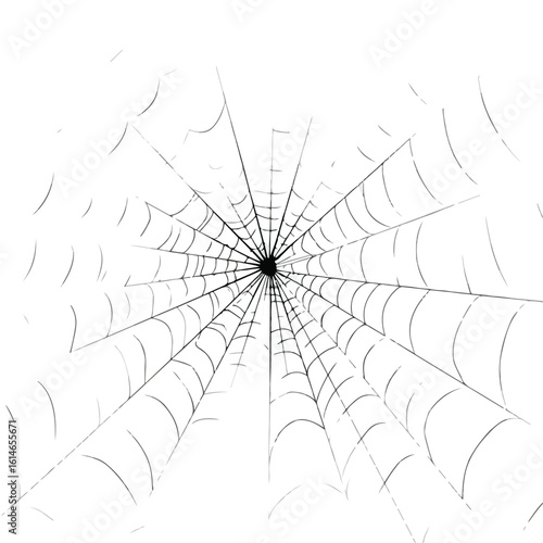 spider web isolated in White Background, spider web vector, Flat lay vector illustration
